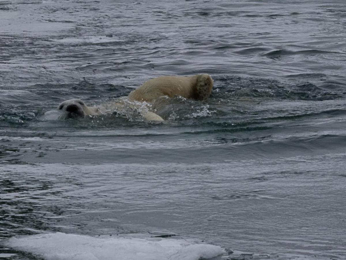 Le Gite Du Pecheur Metabetchouan-Lac-a-la-Croix Bagian luar foto